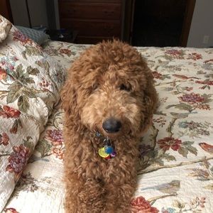 Meet your Posher, Teresa